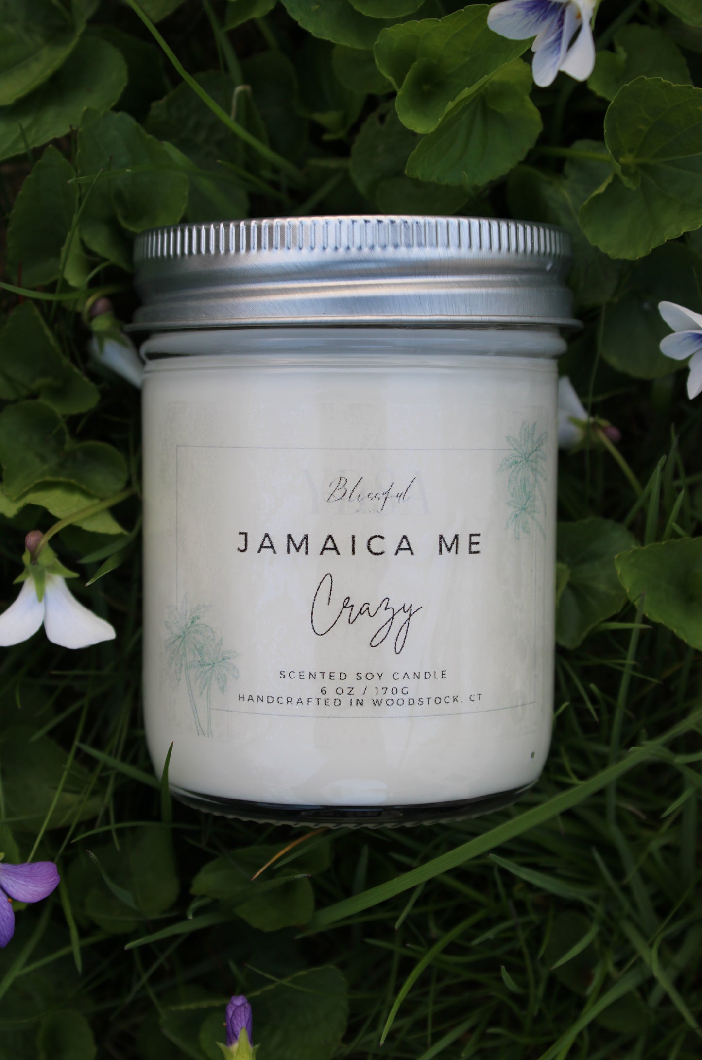 Jamaica me crazy